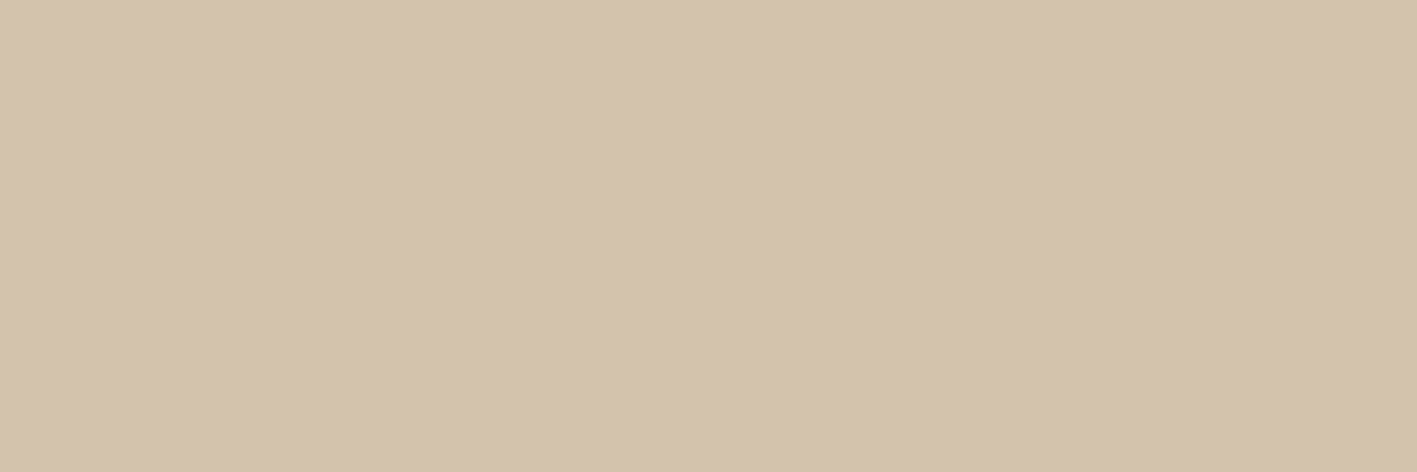 JOY BEIGE 20X60